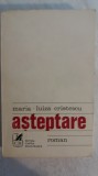 Myh 21f - MARIA LUIZA CRISTESCU - ASTEPTARE - ED 1973