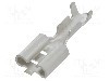 Terminal tip plat, pentru surub {{Orificiu pentru &amp;#351;urub}}, NINIGI - ST-005/03-08T