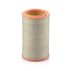 Filtru aer Mann-Filter C1387 foto
