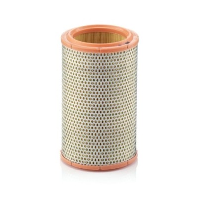 Filtru aer Mann-Filter C1387 foto