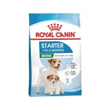 Royal Canin Mini Starter Mother &amp; Babydog, mama si puiul, hrana uscata caine, 1