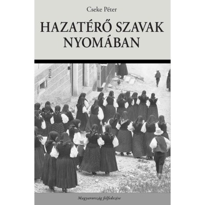 Hazat&amp;eacute;rő szavak nyom&amp;aacute;ban - Cseke P&amp;eacute;ter-D&amp;aacute;vid Gyula foto