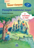 Poveștile castelului magic - Paperback - Antonia Michaelis - Didactica Publishing House