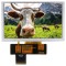 Afișaj TFT 5&quot; 800x480 LED RGB NEWHAVEN DISPLAY INTERNATIONAL