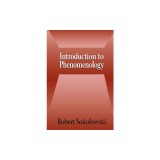Introduction to Phenomenology
