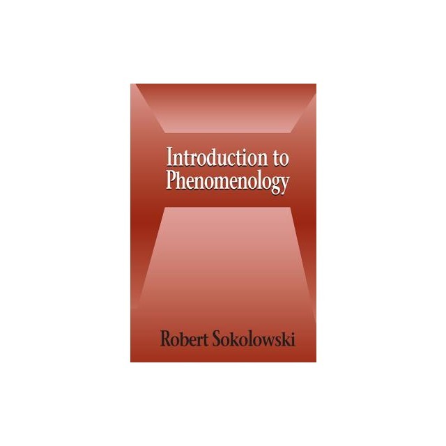 Introduction to Phenomenology