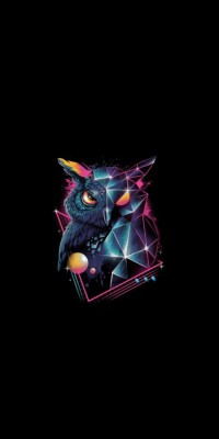 Husa Personalizata HUAWEI P Smart Owl foto