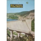 BICAZUL SI IMPREJURIMILE LUI-VICTOR VINTU-237494