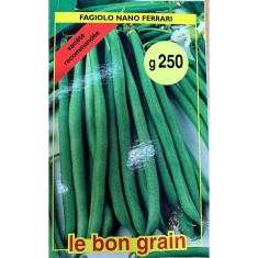 Seminte fasole verde Ferrari 250 gr, Le Bon Grain foto