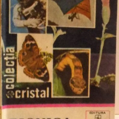 BIONICA DISTRACTIVA , 1981