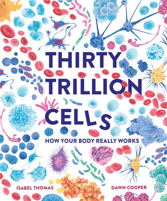 30 Trillion Cells foto