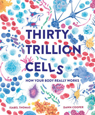 30 Trillion Cells foto