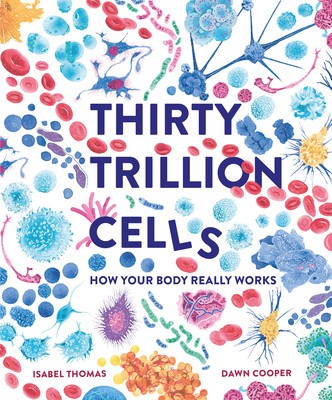 30 Trillion Cells