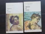 Agonie și extaz (2 vol.) - Irving Stone
