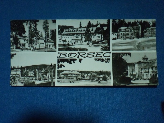 BORSEC VILE , HOTELURI /RPR-FORMAT MARE