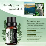 Ulei esential Eucalipt (Eucalyptus) 10 ml, Oem