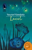 Lacul (ebook) - Yasunari Kawabata - Editura LibHumanitas