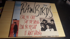 [Vinil] Rain Birds - Call Me Easy Say I&amp;#039;m strong Love Me My Way - disc vinil foto