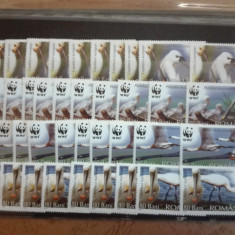 TIMBRE ROMANIA MNH LP 1744/2006 - Pasari protejate WWF -LOT 10 serii simple