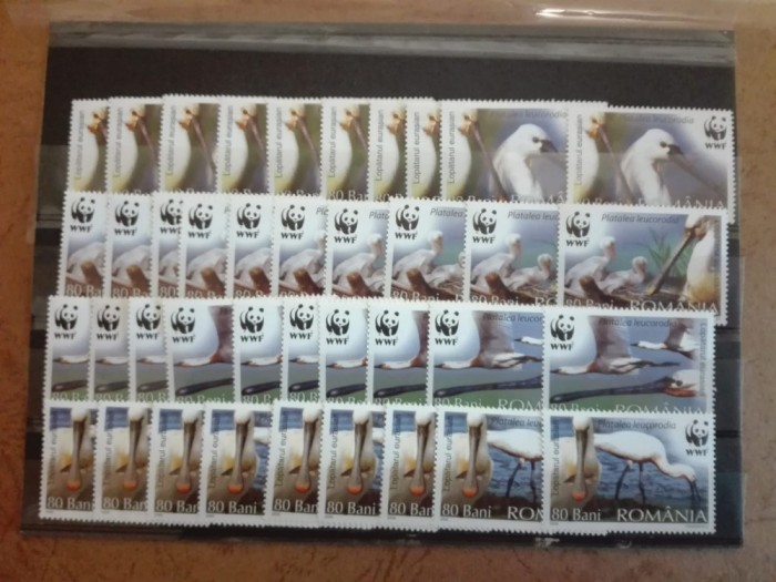 TIMBRE ROMANIA MNH LP 1744/2006 - Pasari protejate WWF -LOT 10 serii simple