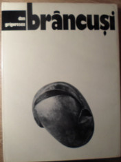 BRANCUSI-DAN GRIGORESCU foto