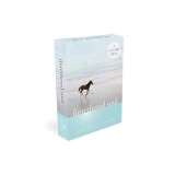 The Untethered Soul: A 52-Card Deck