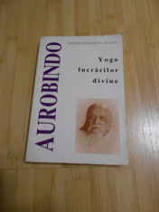 SRI AUROBINDO--YOGA LUCRARILOR DIVINE foto