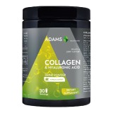 Collagen &amp; Acid Hialuronic Vanilla, 600g, Adams