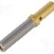 Conector auto, AEC, DRB, DRC, DT, DTV, HD10, HD30, HDP20, Jiffy Splice, STRIKE, DEUTSCH - 0462-201-1631