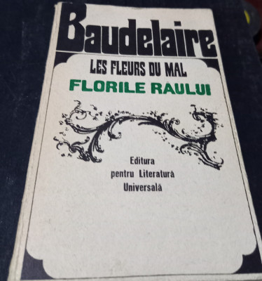 BAUDELAIRE FLORILE RAULUI foto