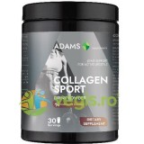 Collagen Sport cu MSM si Aroma de Ciocolata 600g