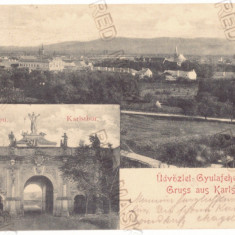 1916 - ALBA-IULIA, Panorama, Romania - old postcard - used - 1902