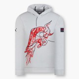 Red Bull Racing hanorac de bărbați cu glugă Dynamic Bull II grey F1 team 2024 - XL