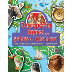 Descoperim lumea - Printre labirinturi PlayLearn Toys