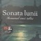 SONATA LUNII. ROMANUL UNEI IUBIRI-PATRICIA MORRISROE-248913