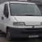 vanzare autoutilitara FIAT DUCATO (FURGON), anul fabricatiei 1996