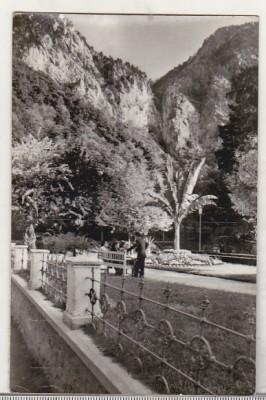 bnk cp Baile Herculane - Vedere din parc - uzata foto