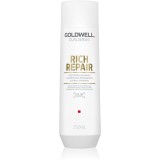 Goldwell Dualsenses Rich Repair șampon regenerator pentru păr uscat și deteriorat 250 ml