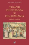 Tiganii din Europa si din Romania - Editura Rao