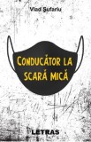 Conducator la scara mica - Vlad Sufariu