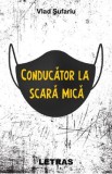 Conducator la scara mica - Vlad Sufariu, 2021