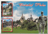 Bnk cp Sinaia - Castelul Peles - necirculata, Printata