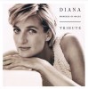 CD 2xCD Various &ndash; Diana (Princess Of Wales) Tribute (VG++), Pop