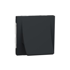 Tasta iesire cablu 2M Schneider Noua Unica antracit NU386254