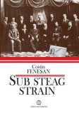 Sub steag străin. Comuniştii şi Partidul Comunist din Rom&acirc;nia &icirc;n arhivele Kominternului (1919&ndash;1924) - Paperback brosat - Cătălin Feneşan - Enciclopedi