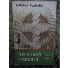 MARIANA FLAMAND - AVENTURA LEMNULUI