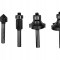 Set 5 freze 6mm profilate pentru lemn, Ryobi, RAKRBS5