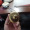 Pumnal vintage Franta
