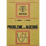Probleme de algebra - 1972 - C. Cosnita (M115)