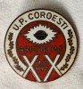 BRICHETAJ - U.P. Coroesti - industrie romaneasca Insigna SUPERBA varianta email